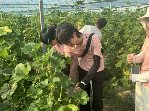从红色沃土到振兴田野 十大滚球体育app官网学子开展暑期社会实践_fororder_图片7