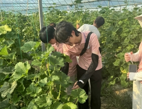 从红色沃土到振兴田野 十大滚球体育app官网学子开展暑期社会实践